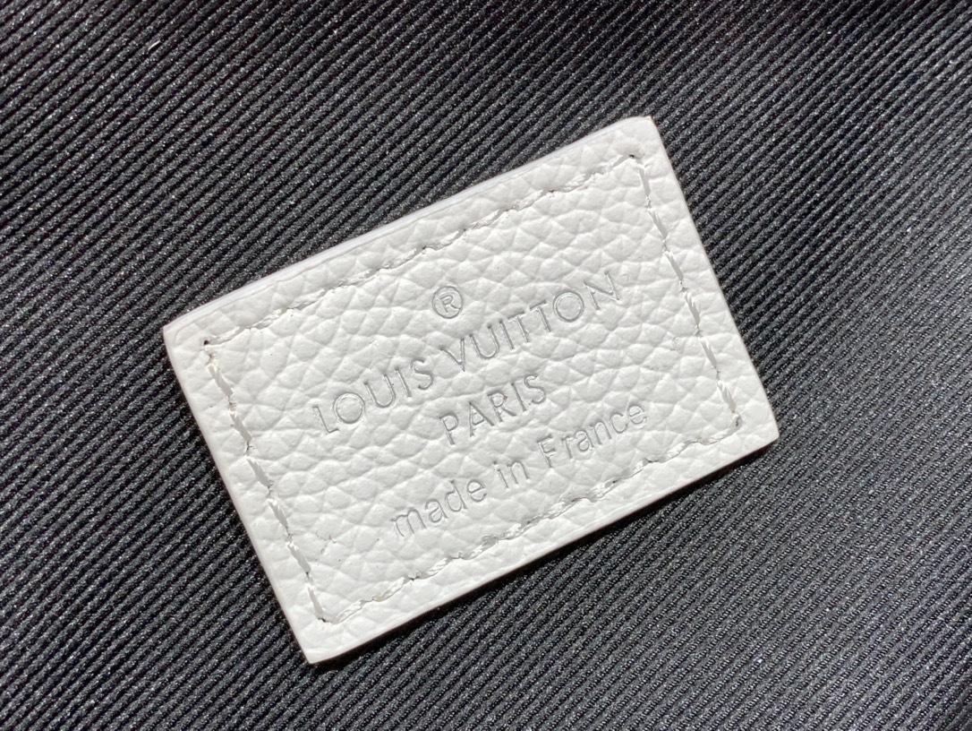 LV Rush Bumbag M25227