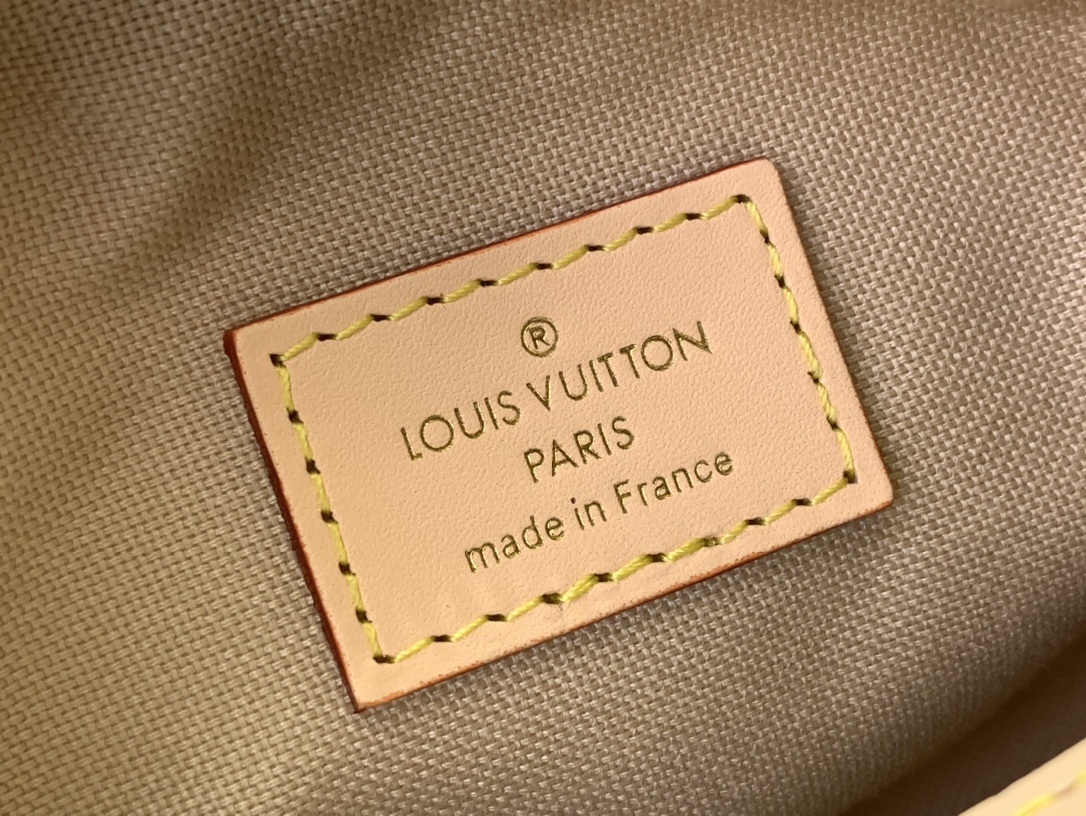 LV Shoulder bag m12433