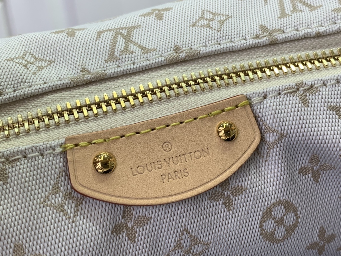 LV Shoulder bag m12433
