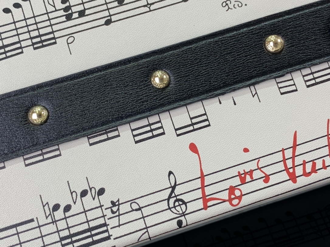 LV Shoulder bag M22895