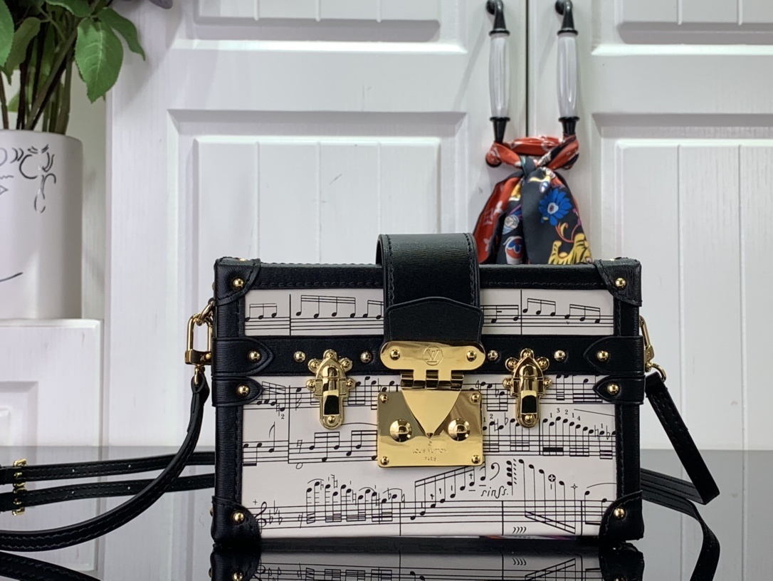 LV Shoulder bag M22895