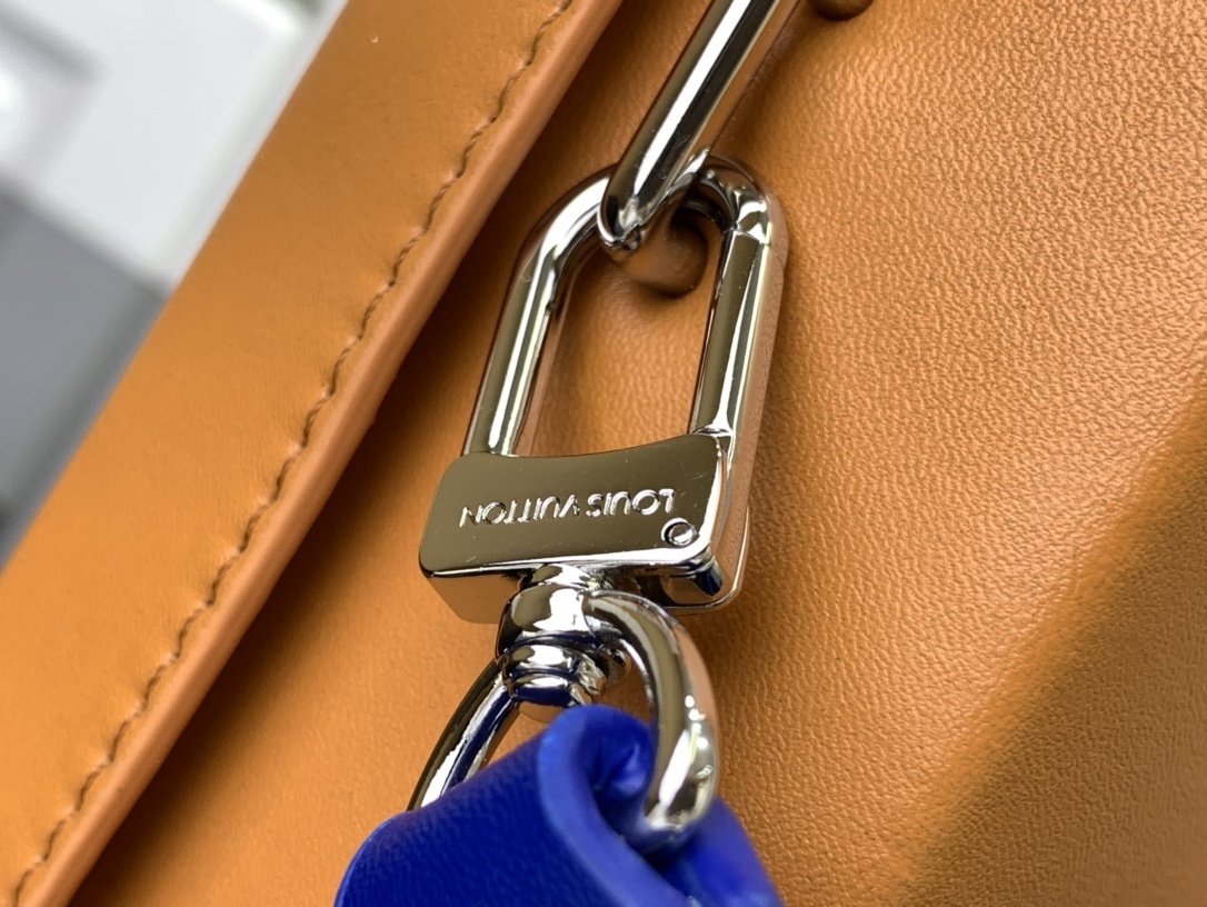 LV Shoulder bag M24455