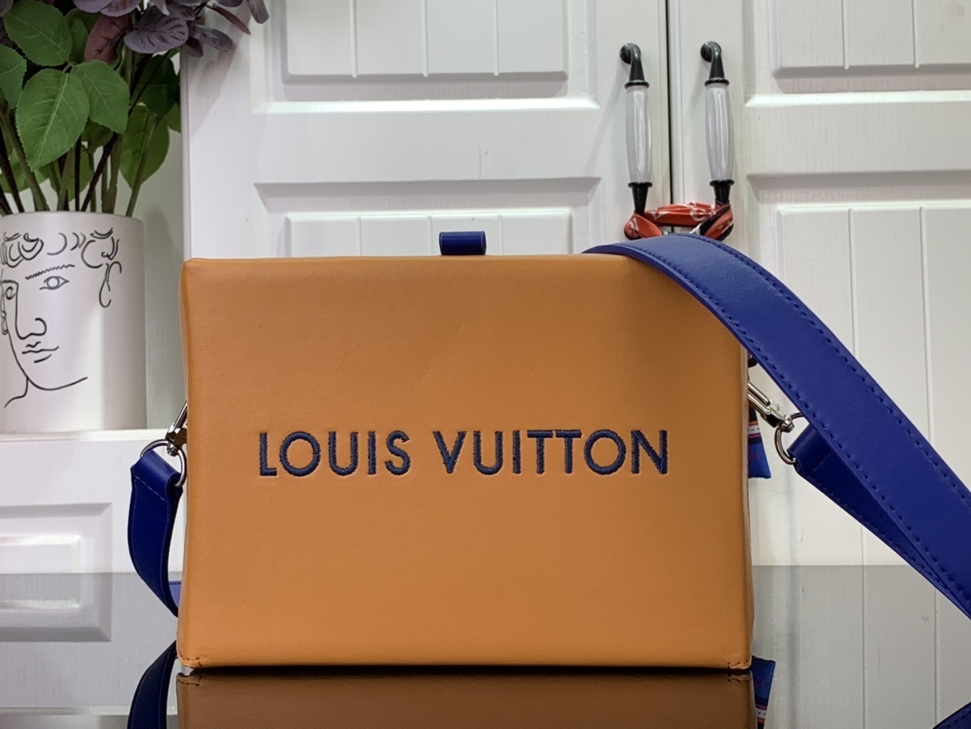 LV Shoulder bag M24455