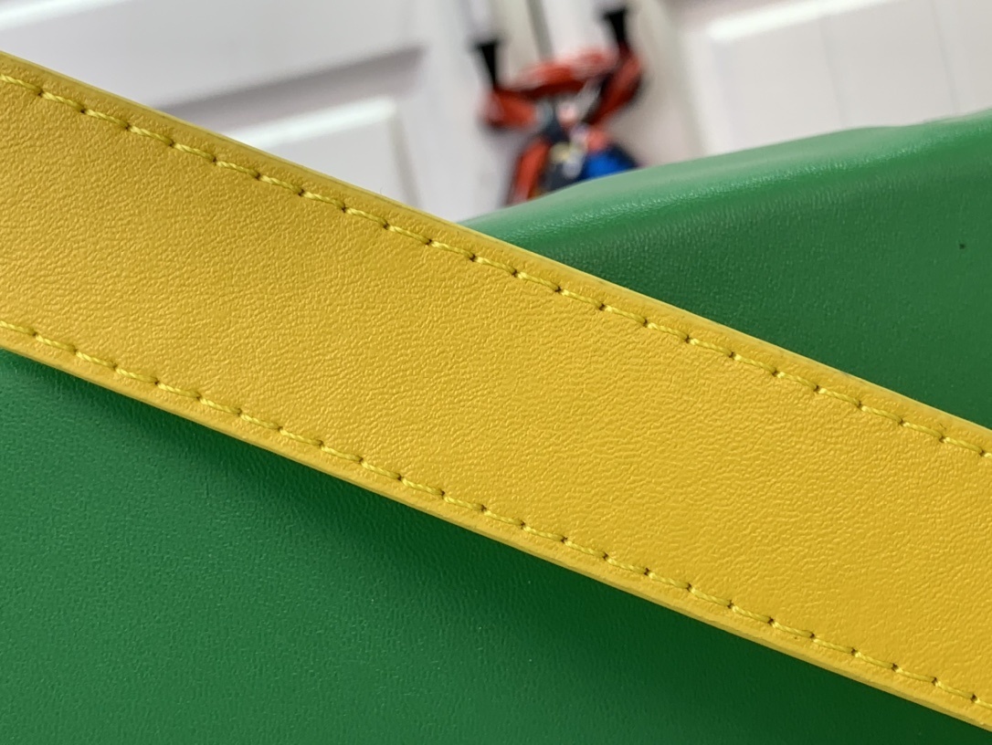 LV Shoulder bag M24455