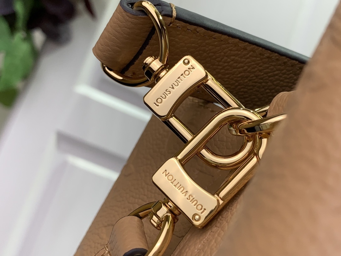 LV Shoulder bag m45256