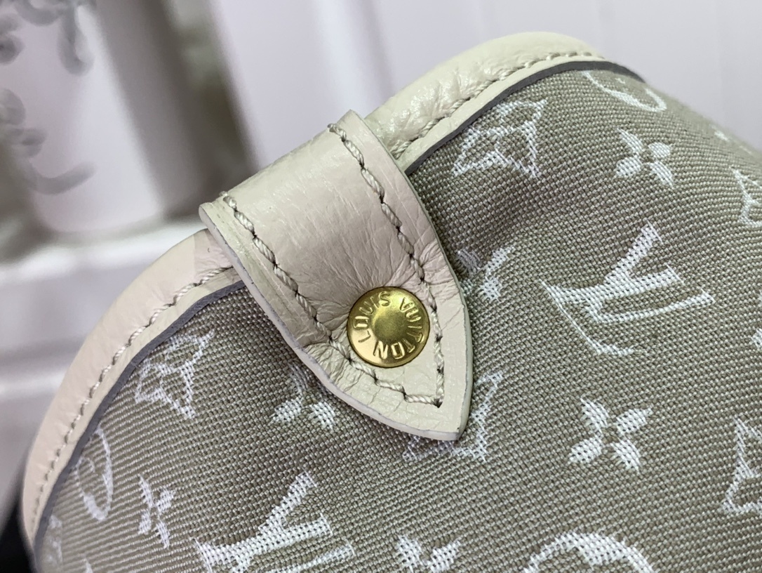 LV Shoulder bag M95227