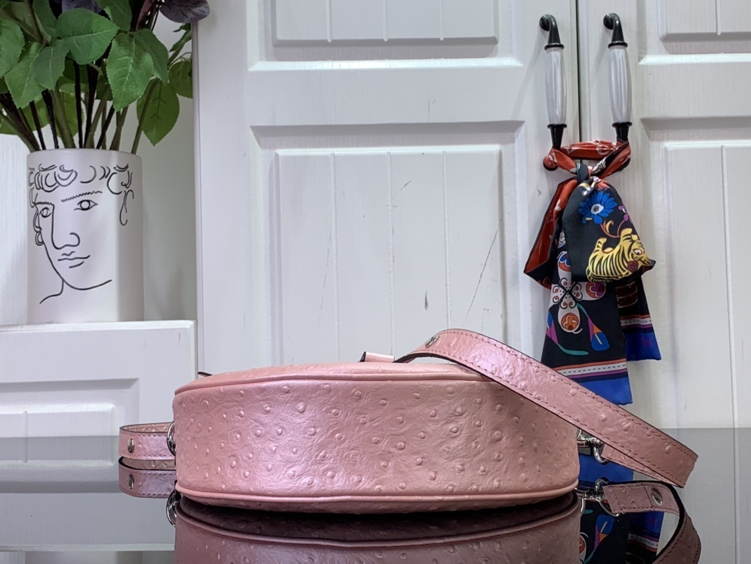 LV Shoulder bag N85900 