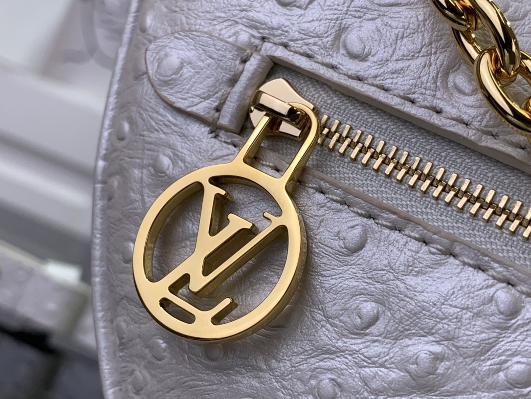 LV Shoulder bag N85900 