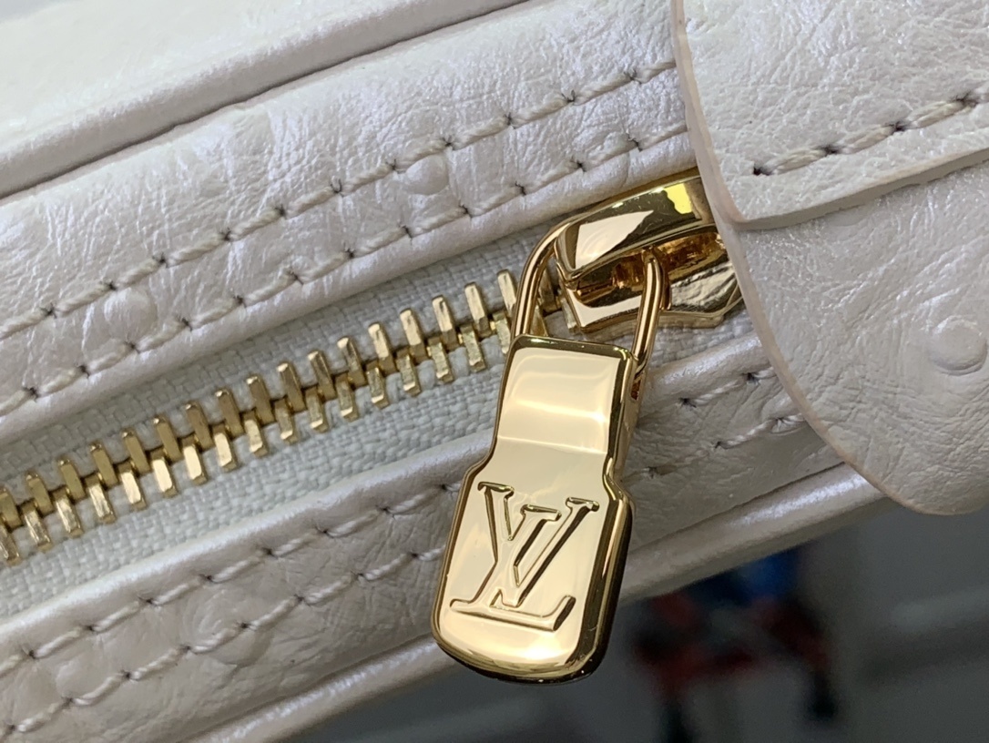 LV Shoulder bag N85900 