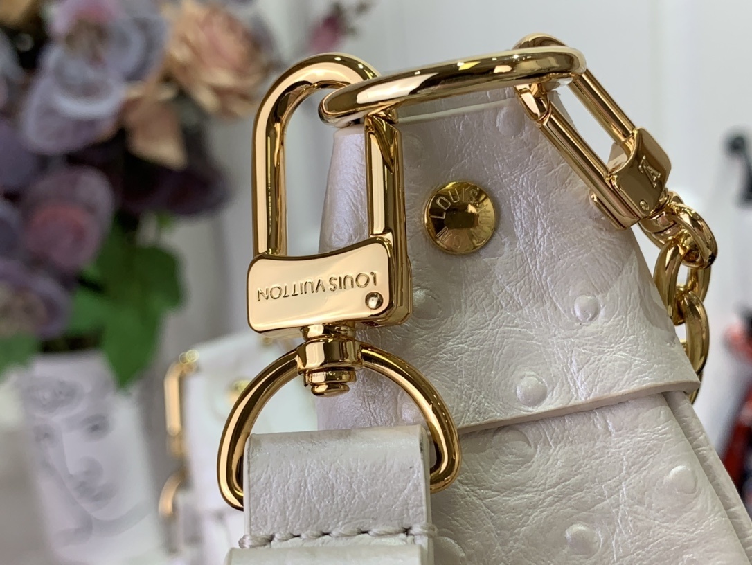 LV Shoulder bag N85900 