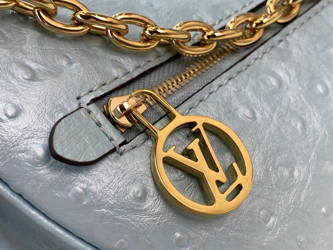 LV Shoulder bag N85900 