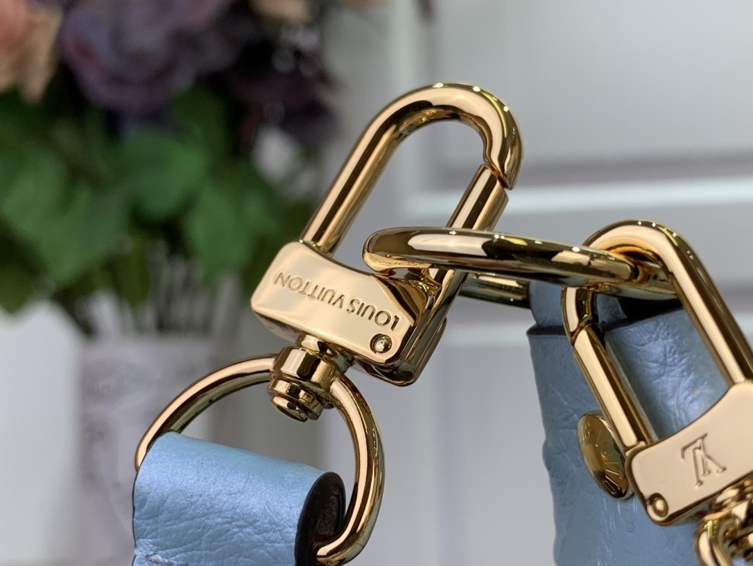 LV Shoulder bag N85900 