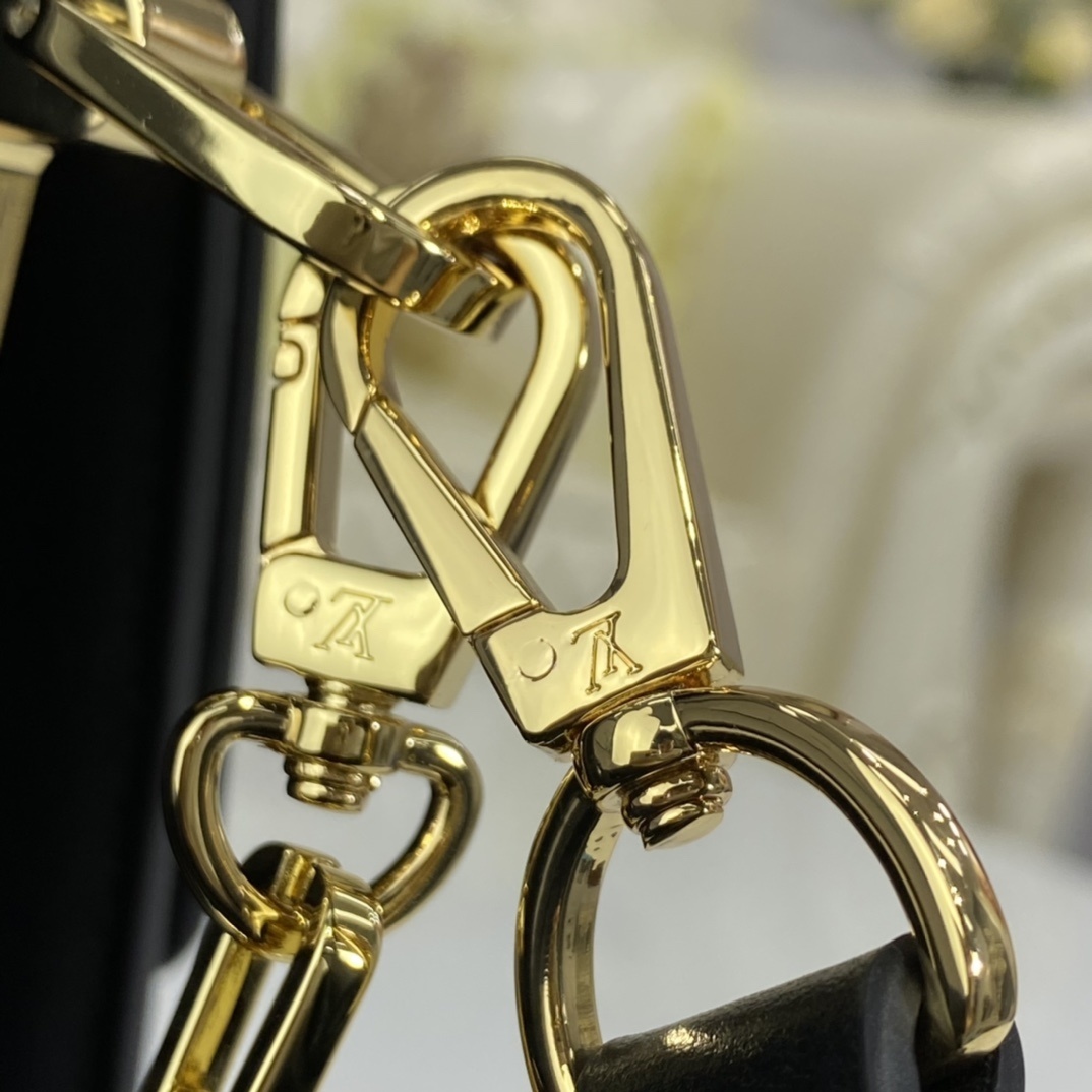 LV SINCE 1854 DAUPHINE MM M57211 