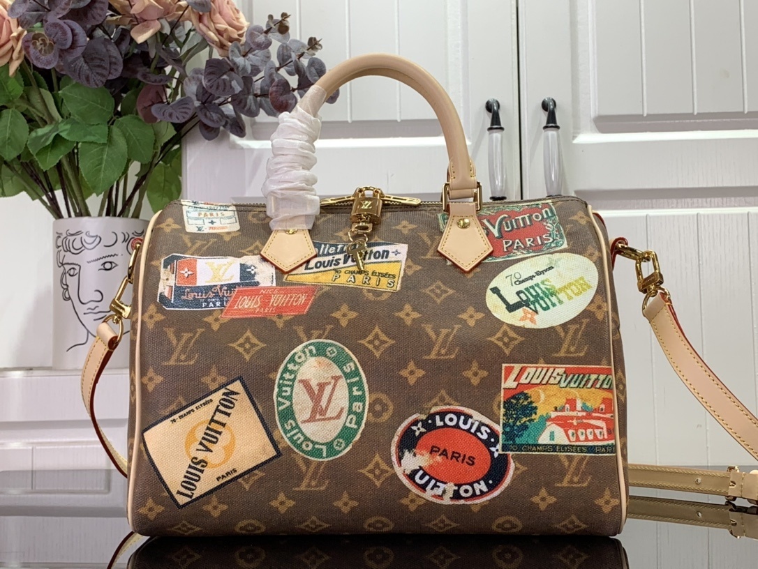 LV Speedy Bandouli??re 30  M47087 