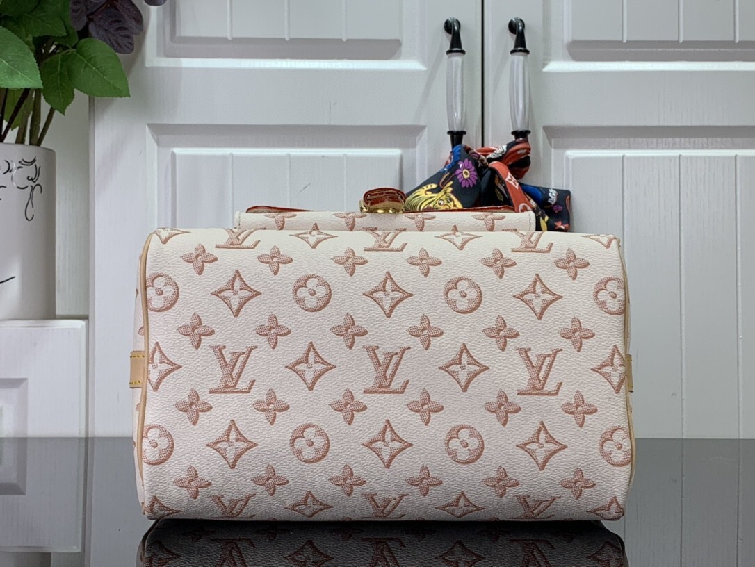 LV SPEEDY BANDOULIERE 25 M20919 