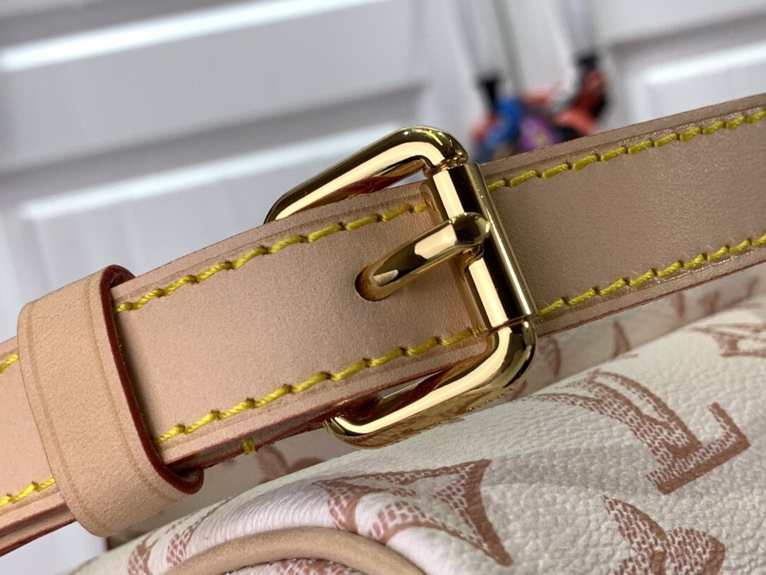 LV SPEEDY BANDOULIERE 25 M20919 