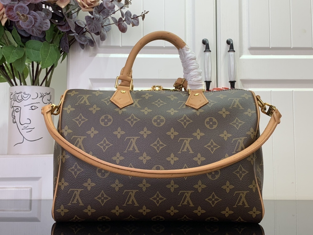 LV SPEEDY SOFT 30 BOHO N87212