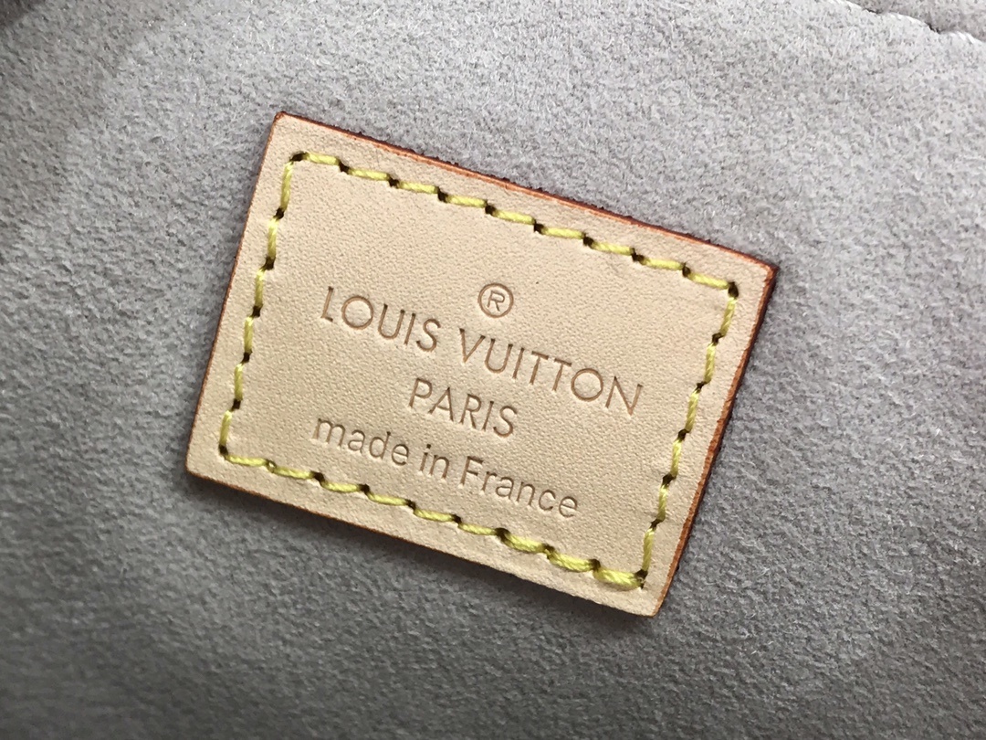 LV TINY BACKPACK M45764