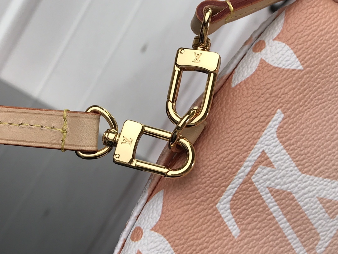 LV TINY BACKPACK M45764