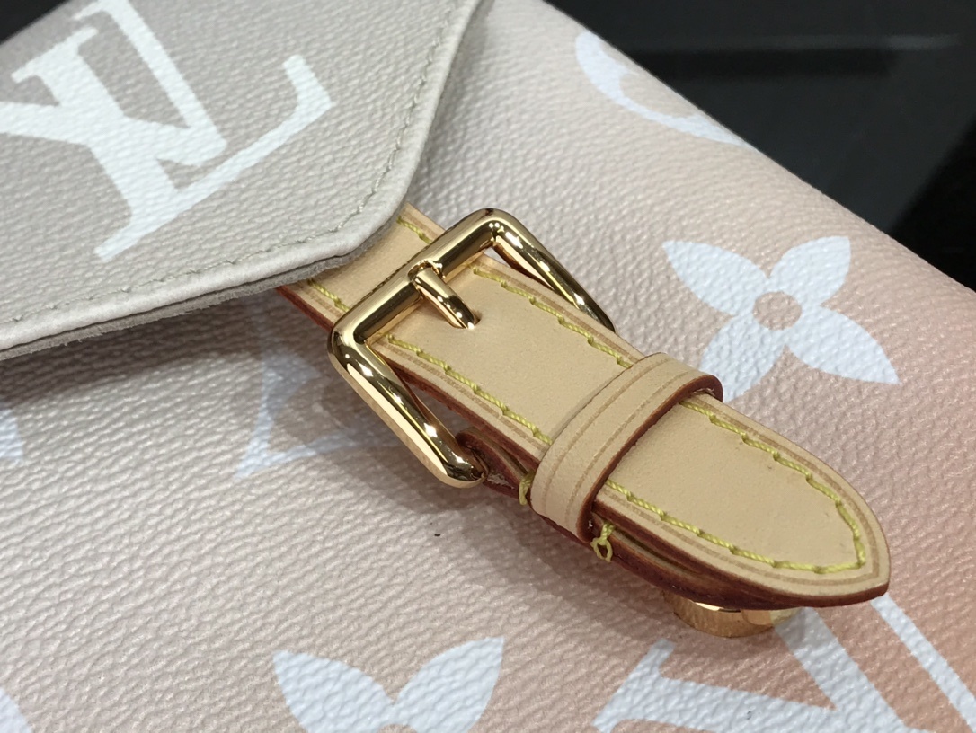 LV TINY BACKPACK M45764