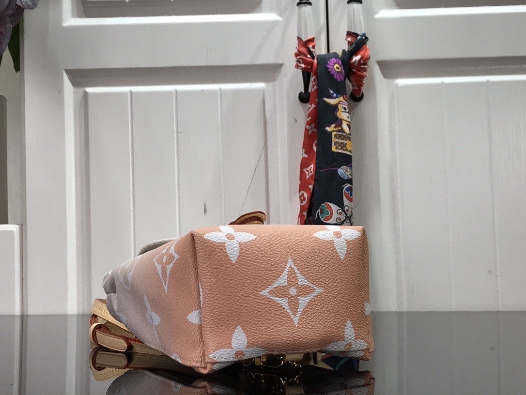 LV TINY BACKPACK M45764