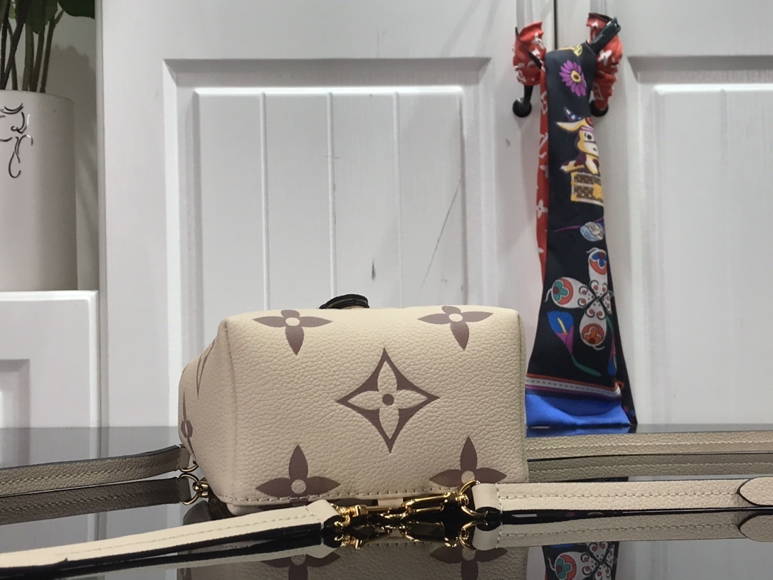 LV TINY BACKPACK M80738