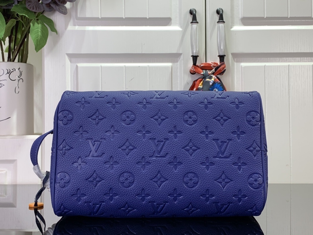 LV Toilet bag m82576