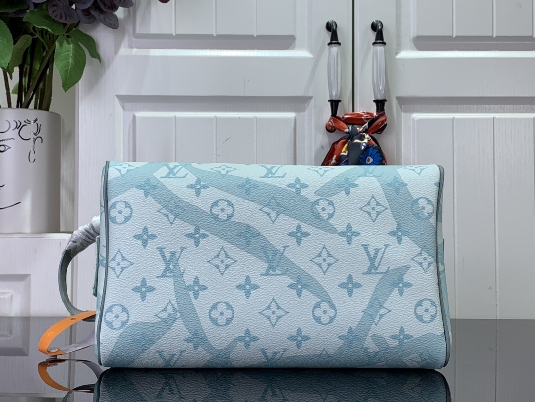 LV Toiletry bag M82337A 