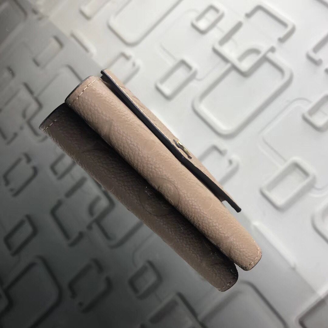 LV Victorine wallet M62305