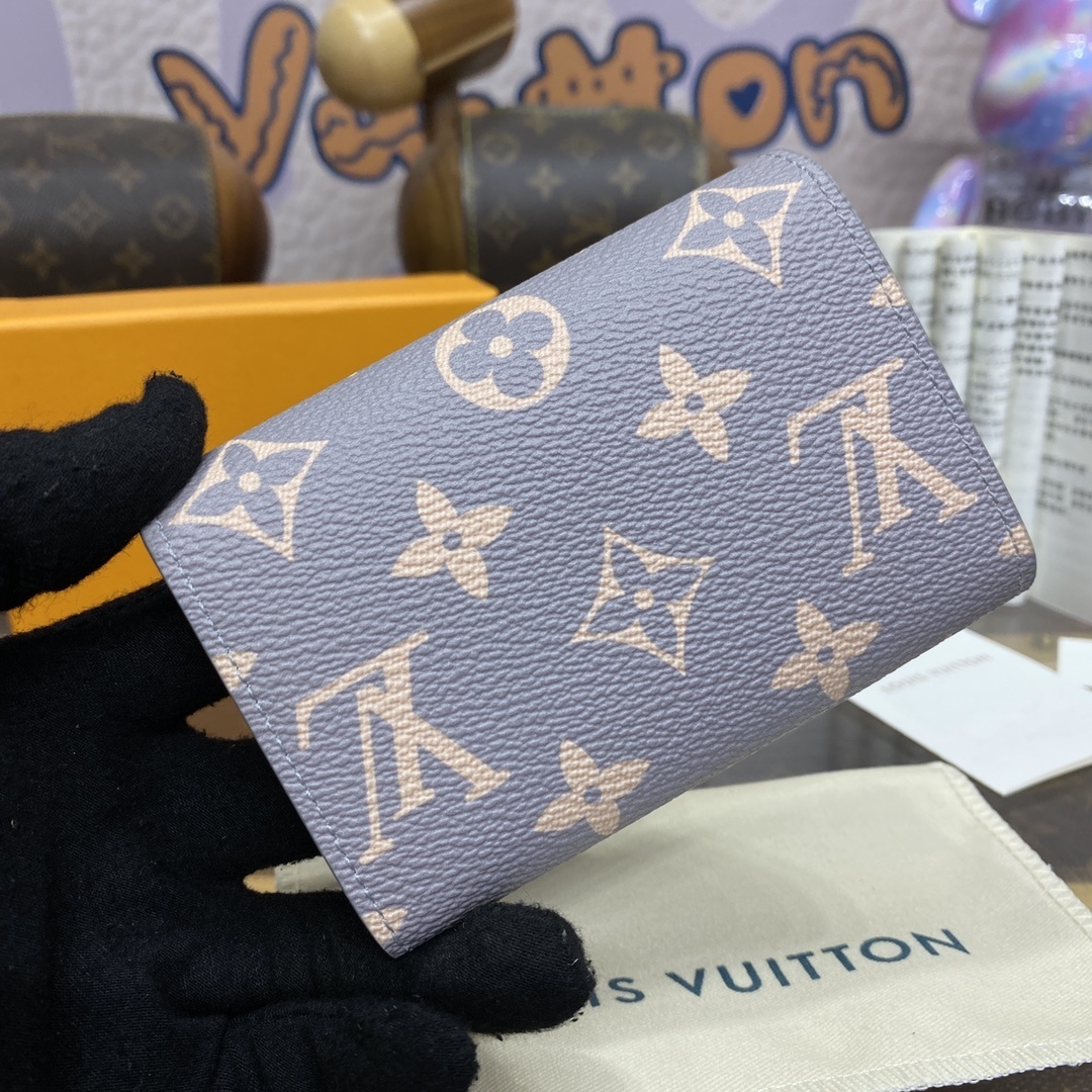 LV wallet M62543