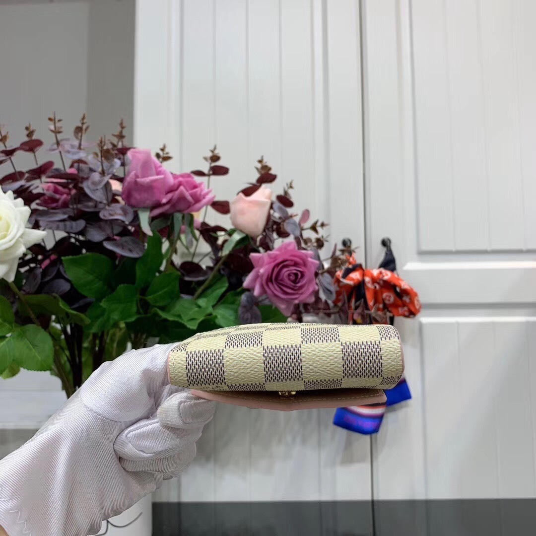 LV ZOE wallet N60168 